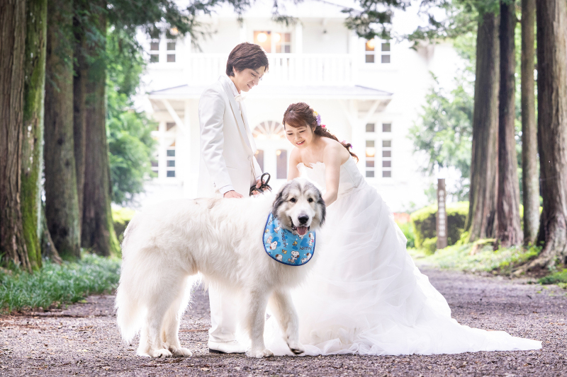 ペットちゃんと♡お好きな場所［2か所］で【和洋装２着】美肌修整写真データ80カットつき