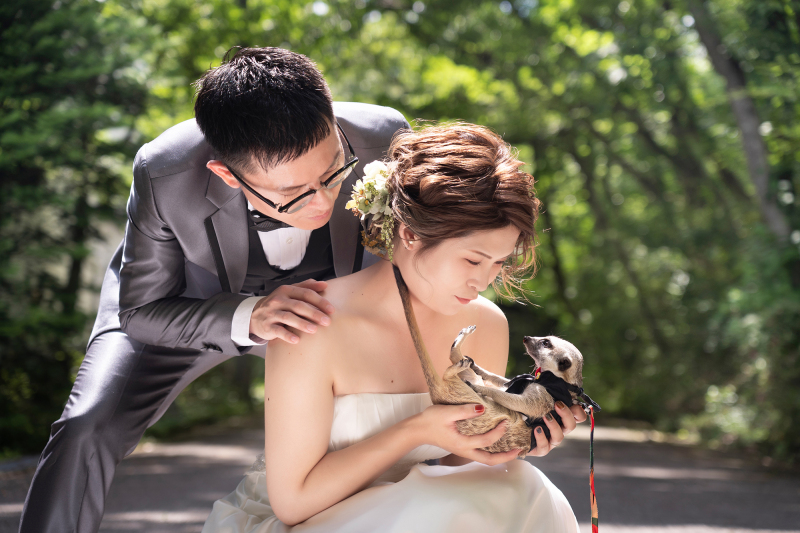 【ペットと一緒に撮影　洋装1着】［スタジオ＋隣接の貸切ドッグラン&ペットスタジオ］プラン