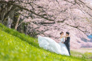 【桜ロケ】満開の桜×日本庭園で和洋2着◆家族撮影等4大特典付