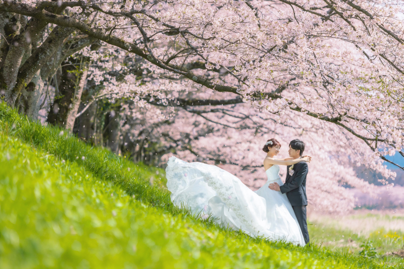 【桜ロケ】満開の桜&times;日本庭園で和洋2着◆家族撮影等4大特典付