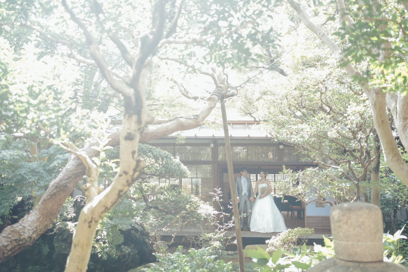 まるで水彩画のような一枚