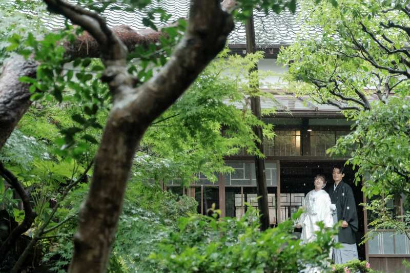 新緑&times;雨の日の魅力