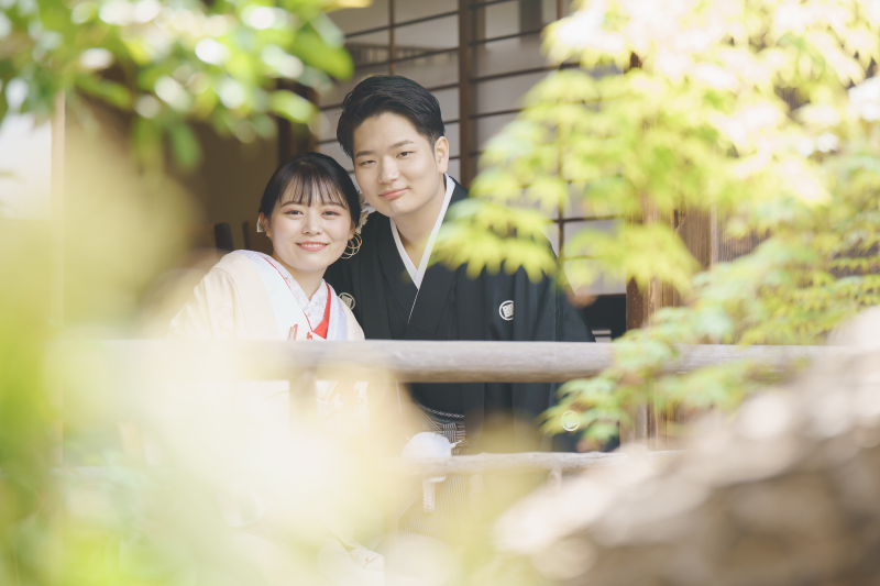 若い緑が芽吹くシーズン