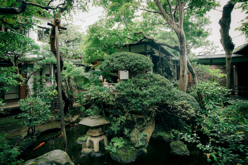 樹齢150年を超える木々たち