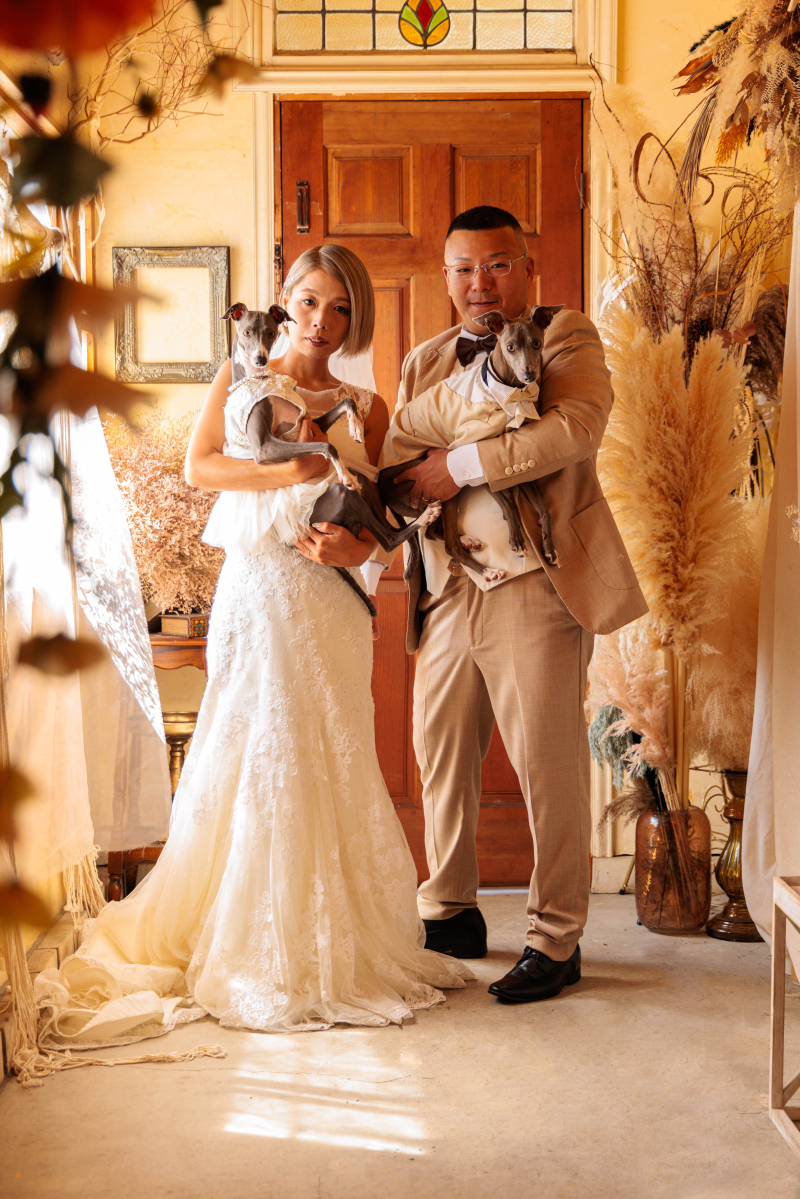 ペットOKなスタジオ