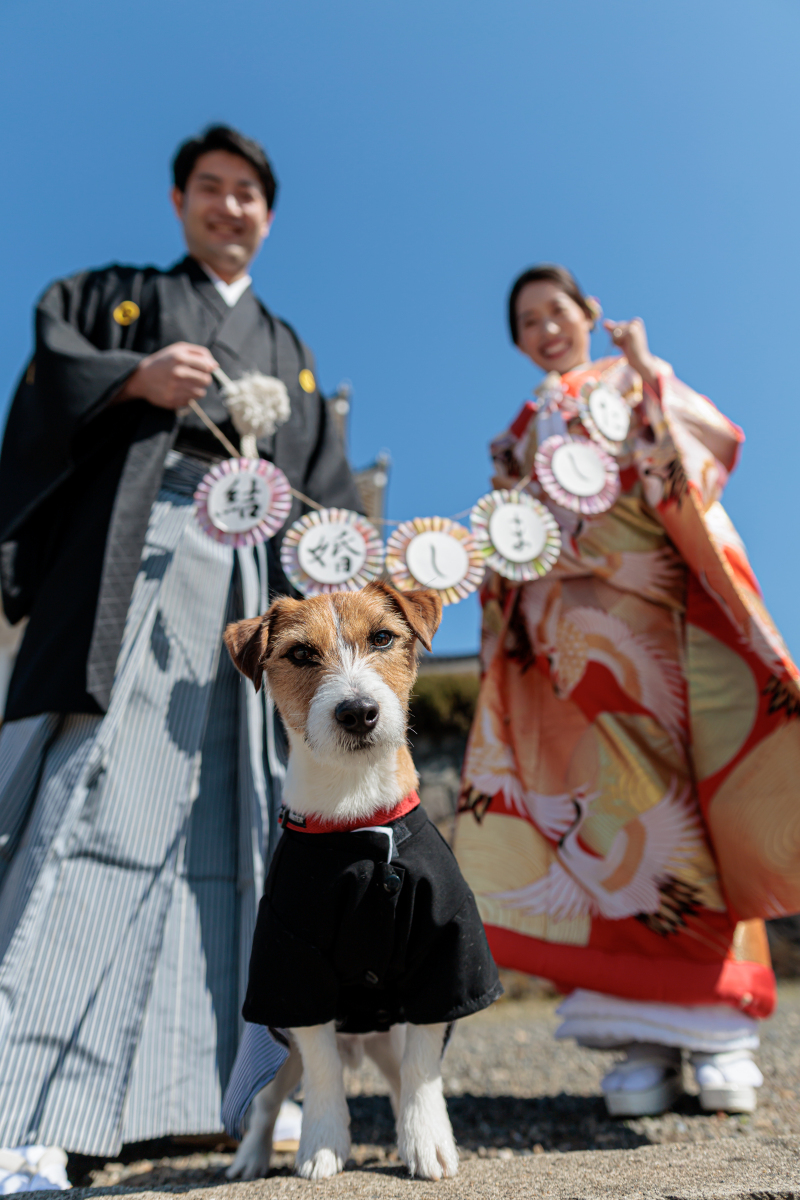 わんちゃんと一緒