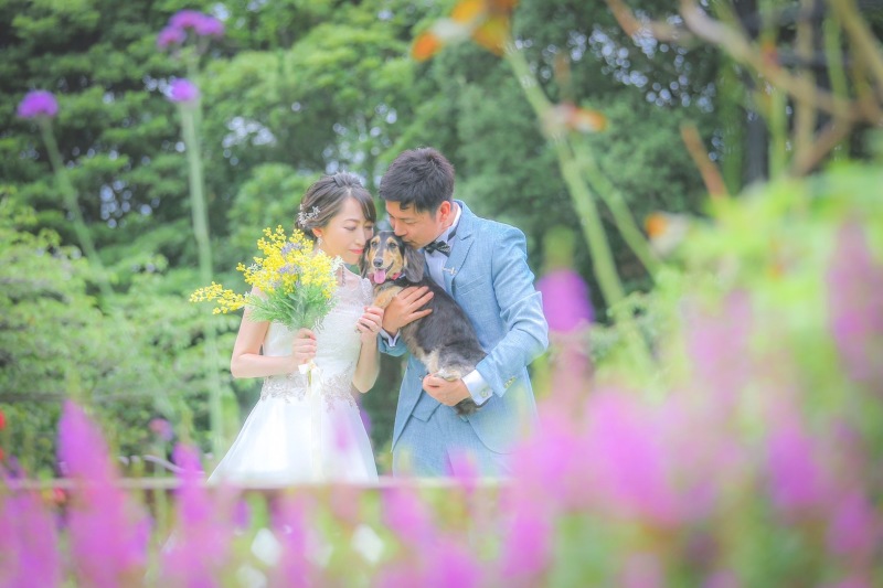 色とりどりの花の中で