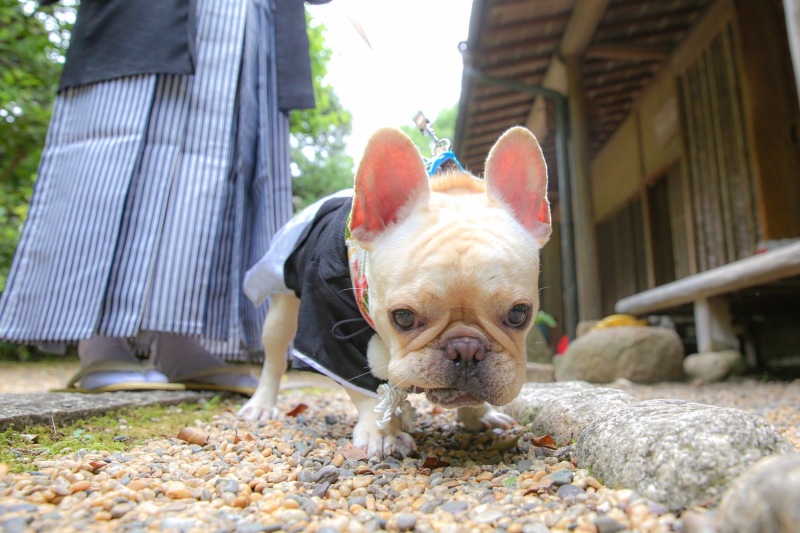 今日もう1人の主役☆