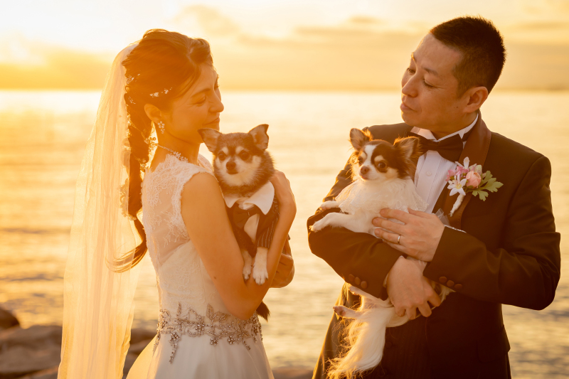 海と夕陽と愛犬と