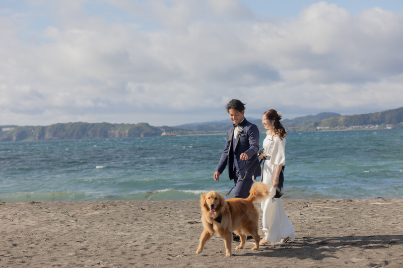 愛犬と浜辺をお散歩するペット同伴ビーチフォト