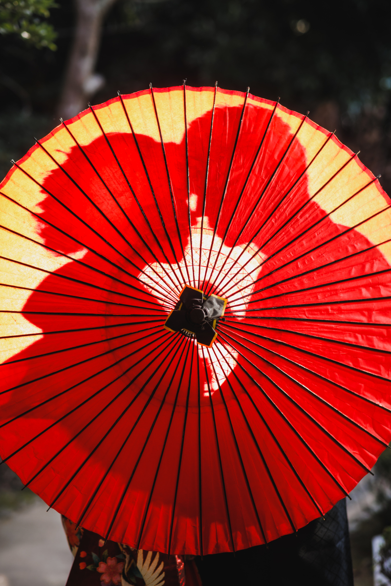 シルエットショット