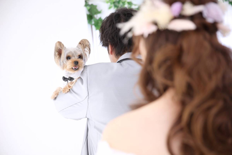 ドキドキの瞬間