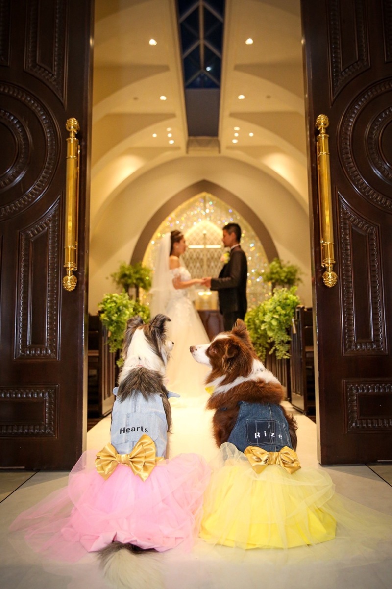 かわいすぎる後ろ姿、、♡