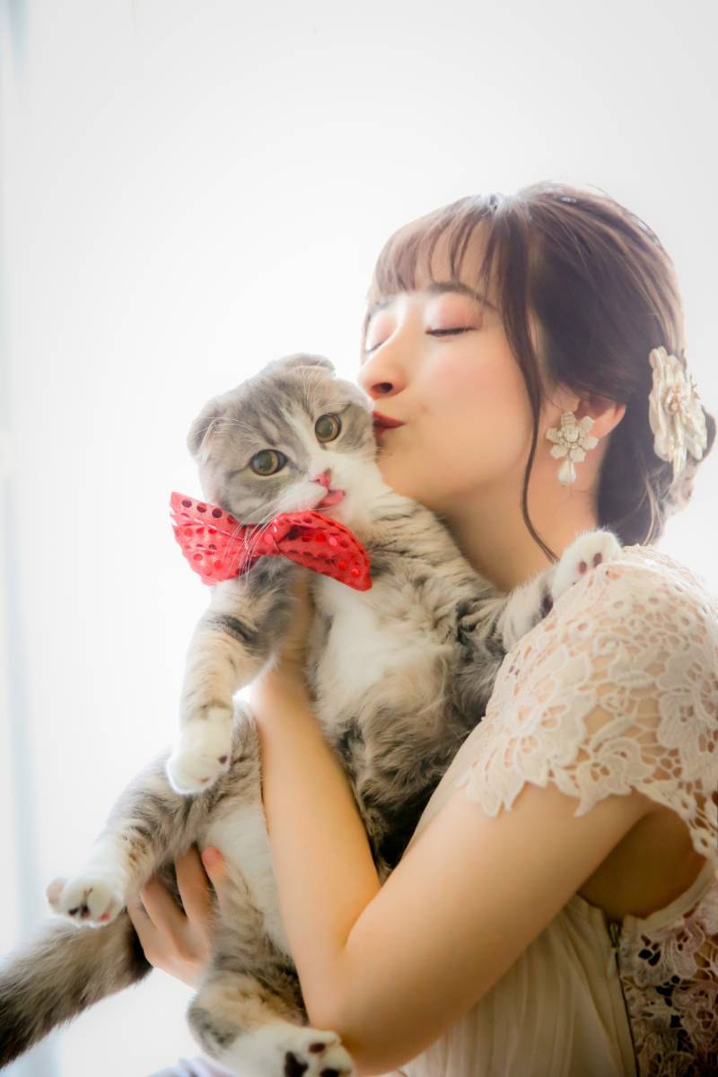 愛猫くうちゃん