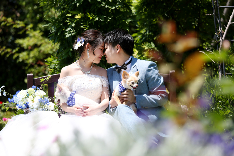 ペットちゃんも一緒