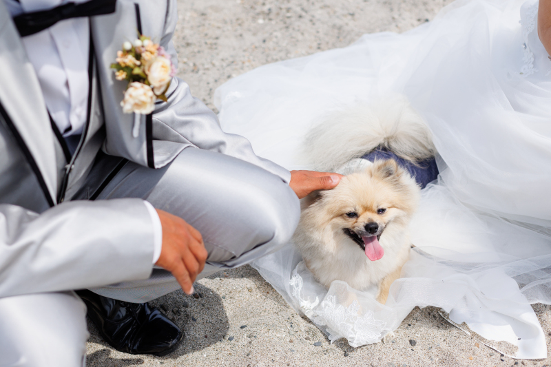 わんちゃんと一緒♡