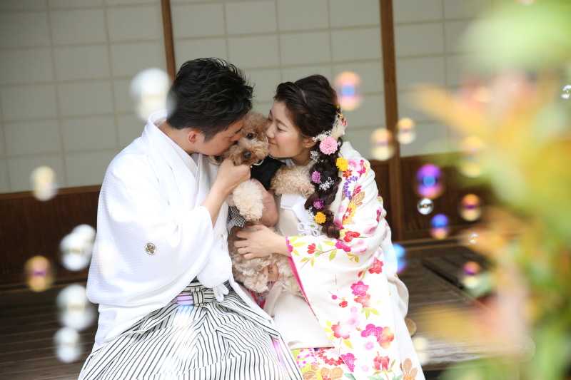 大切なペットちゃんと