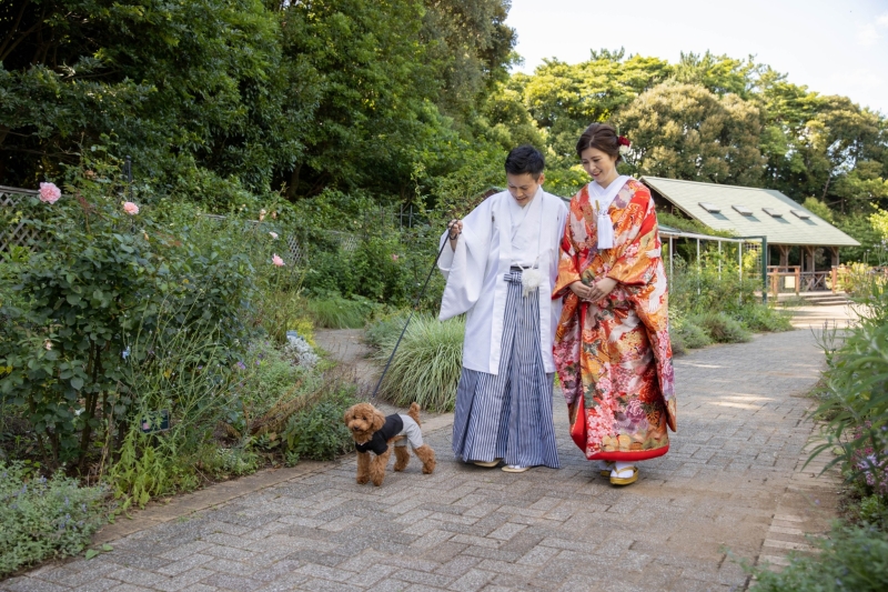 自然体ショット