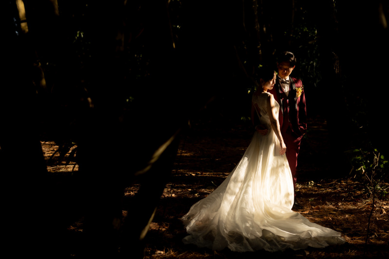 光と影に包まれて