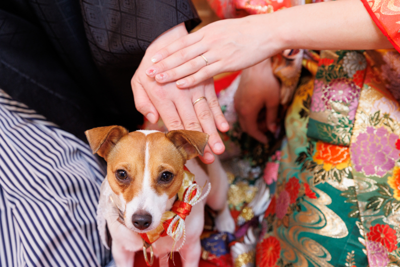 いつまでもお幸せに、、、♡