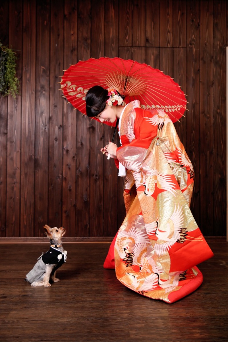 希望のポーズで