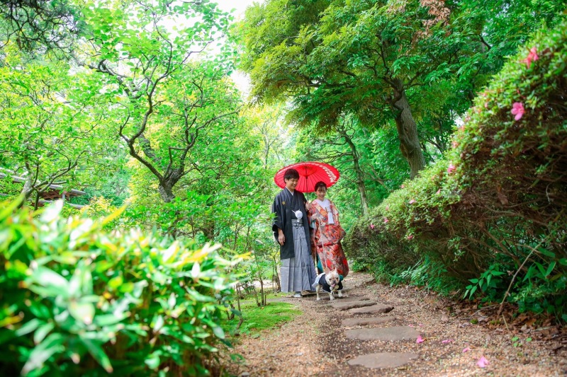 お散歩しながら