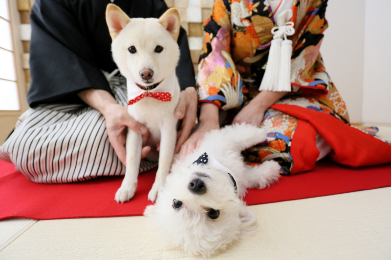 オフショット♫