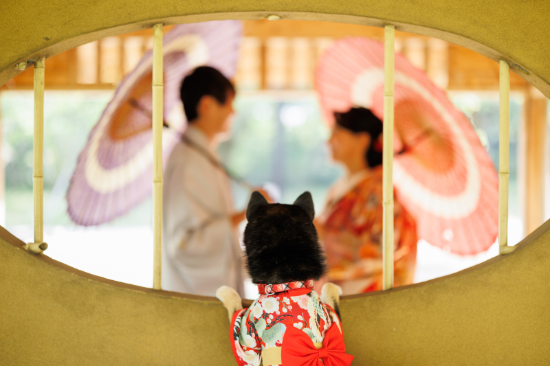 覗き見ショット