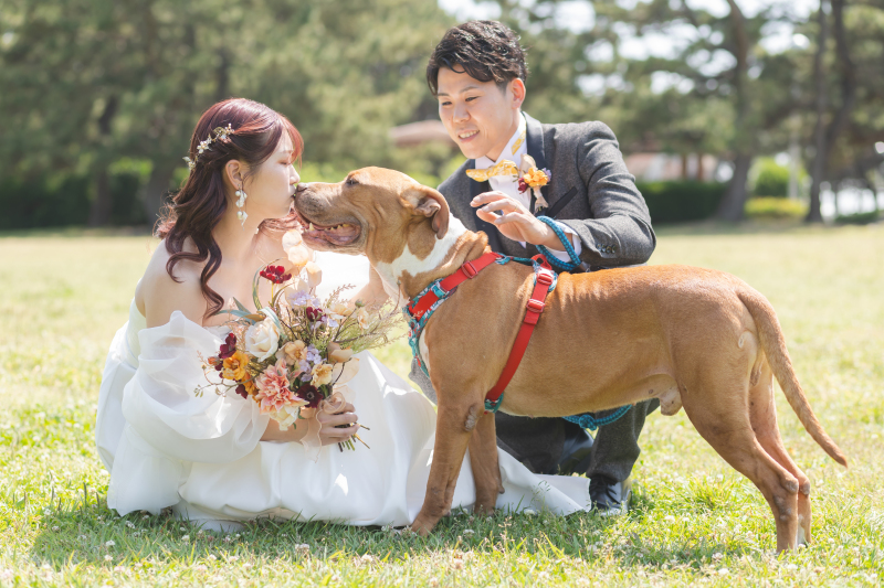 大好きな愛犬と