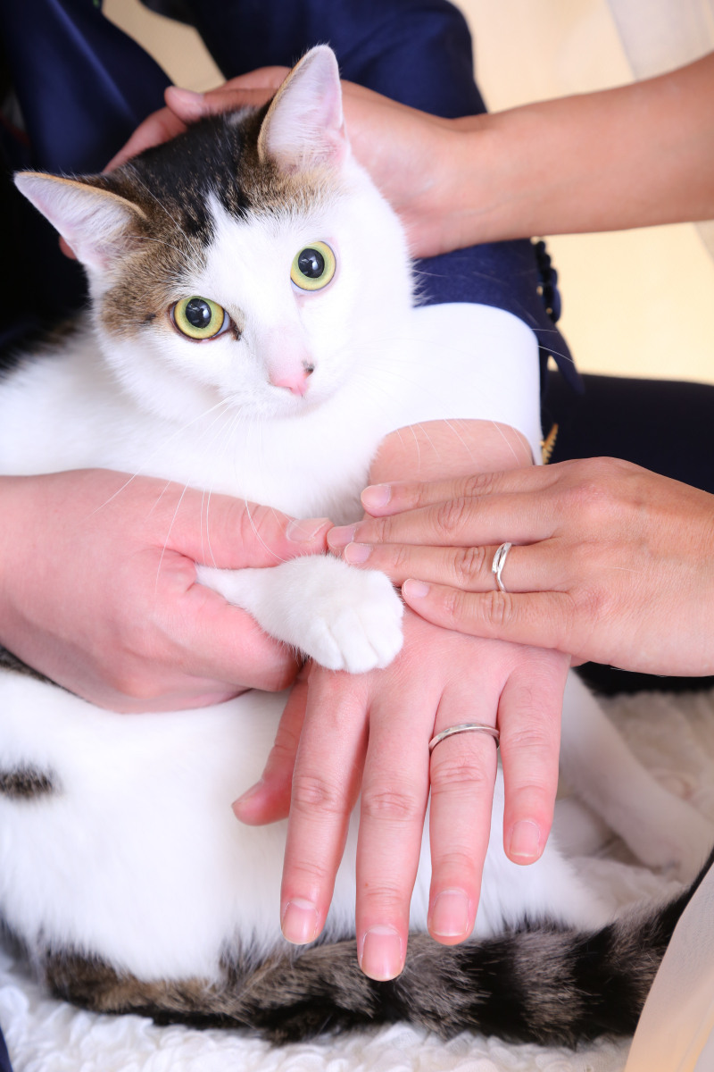 ネコちゃんとの♡