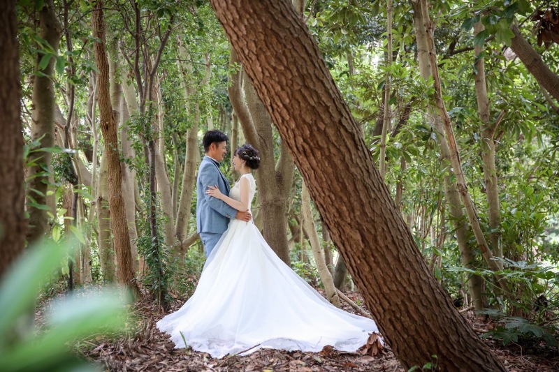 まるでおとぎ話のなか