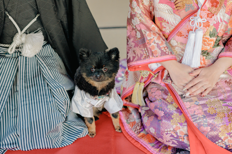 ペットと一緒に和装フォト