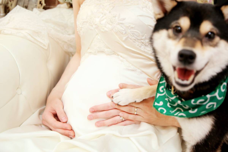 ぺっとちゃんも!