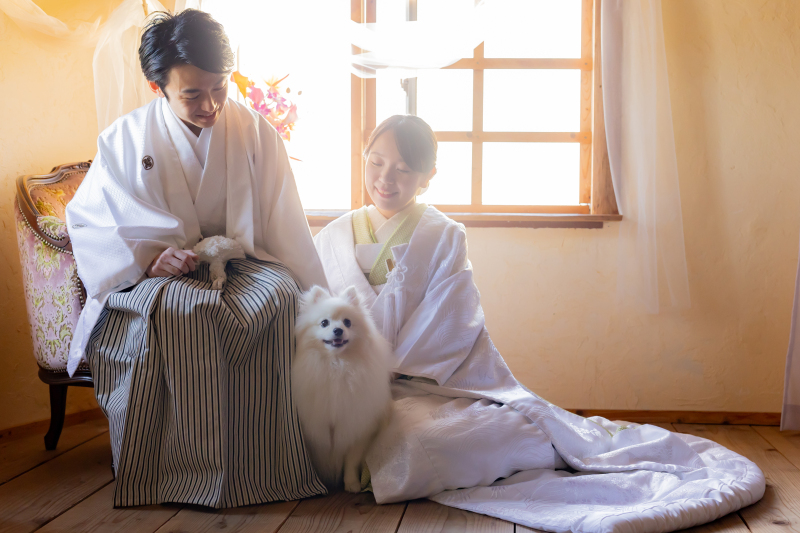 窓辺の光と、愛犬と