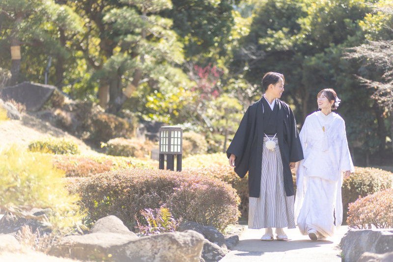 柔らかい日の光