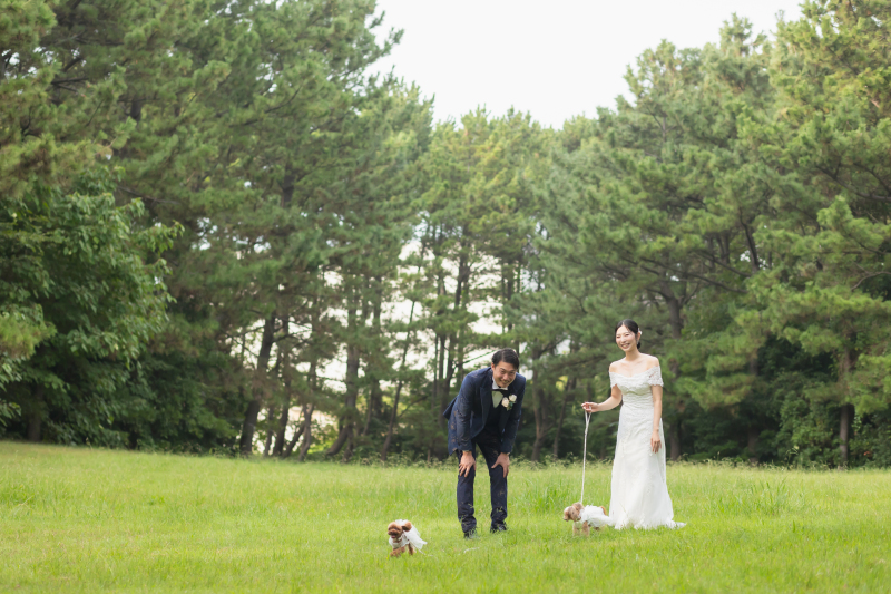 愛犬と自然な表情で撮れるロケーションフォト