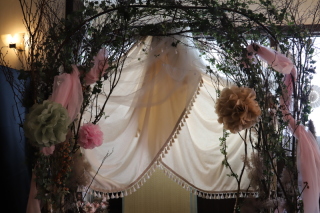 スタジオでドレスも着物も♫