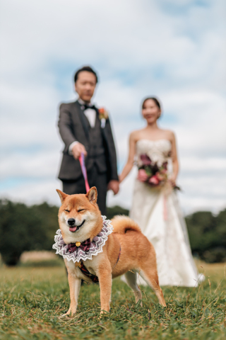 愛犬の笑顔ももらえてラッキーな撮影♡