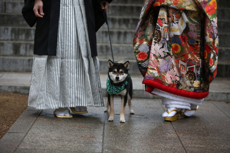 和装ロケーション