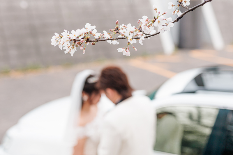 桜に見守られて