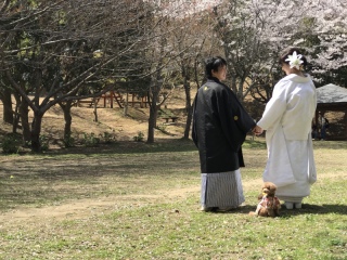 愛犬ちゃんと♡