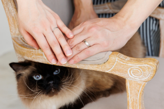 和装でもお色直し