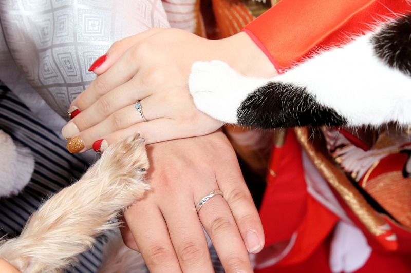 お気に入りのポーズ