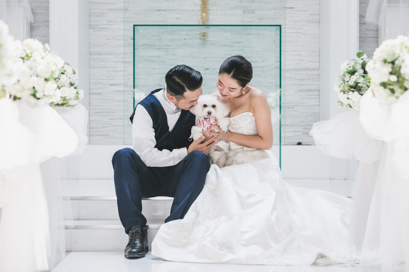 わんちゃんと一緒に