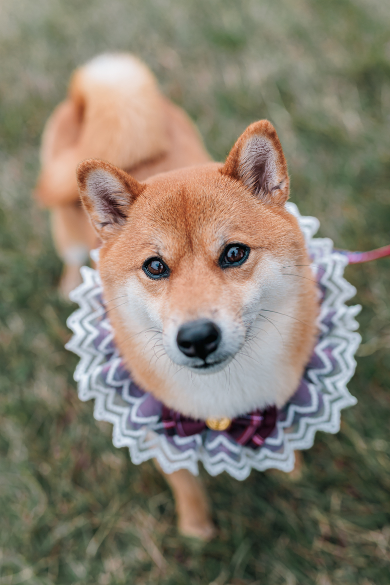 大事なひとりカット