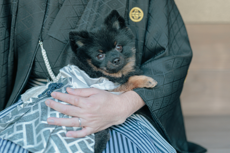 ペットちゃんもおめかし