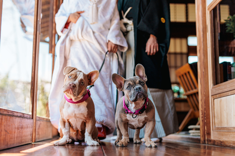 目線もバッチリ