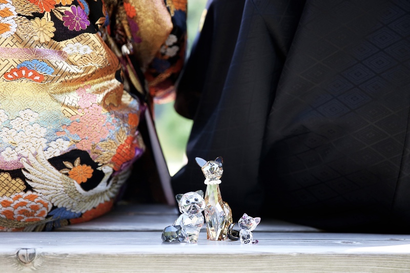 猫ちゃんと一緒♡