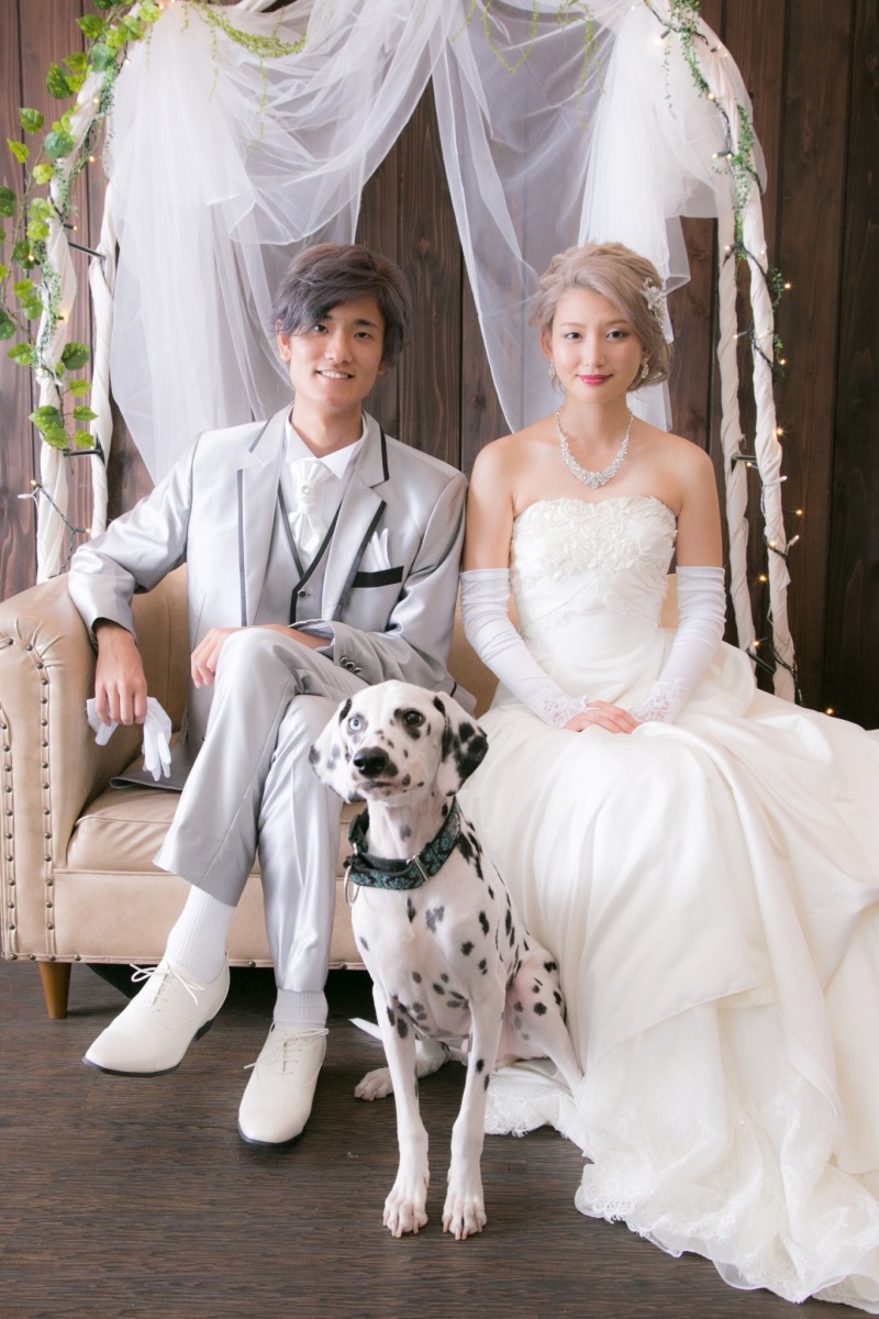 犬に慣れてるスタッフさん