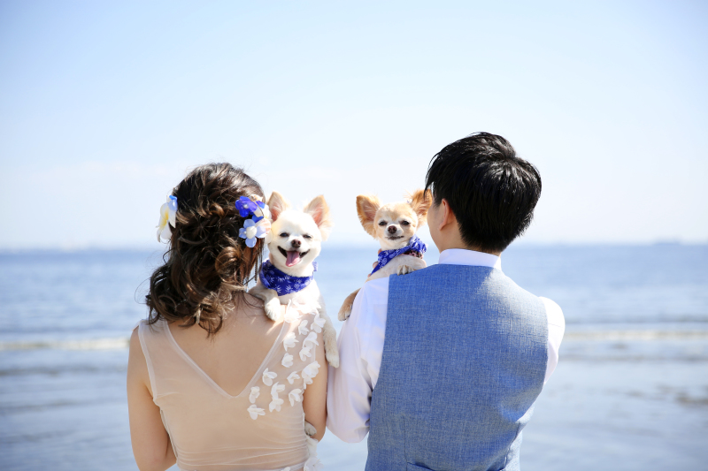 ペットちゃんも主役♫